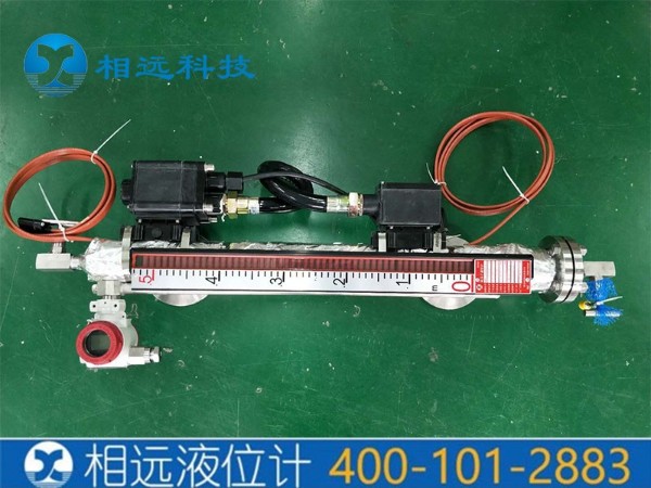 西安UHF系列伴热型液位计种类分析